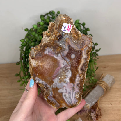 Pink Crazy Lace Agate / Carnelian Slab (U625)