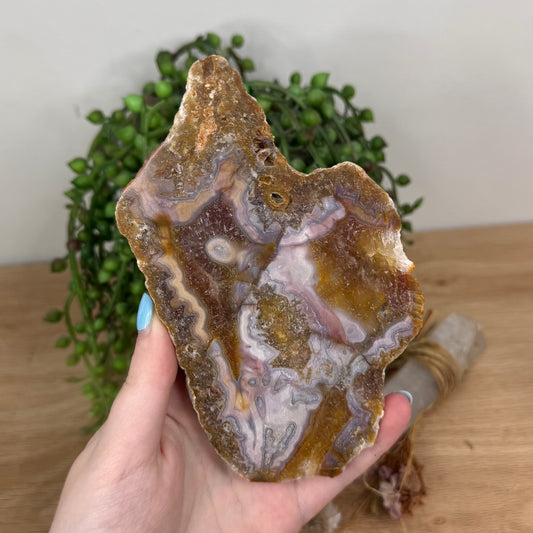 Pink Crazy Lace Agate / Carnelian Slab (U624)