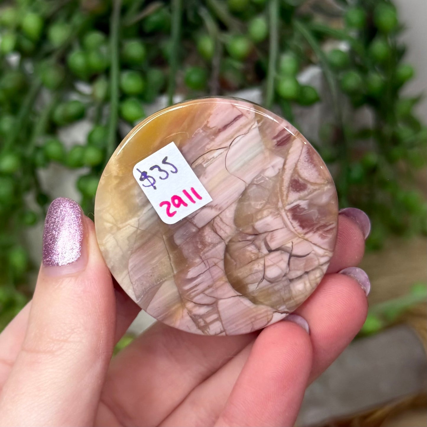 Alashan Carved Disc (Z911)