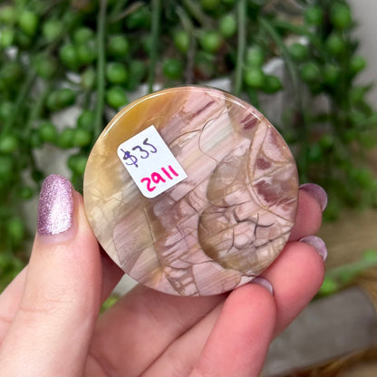 Alashan Carved Disc (Z911)