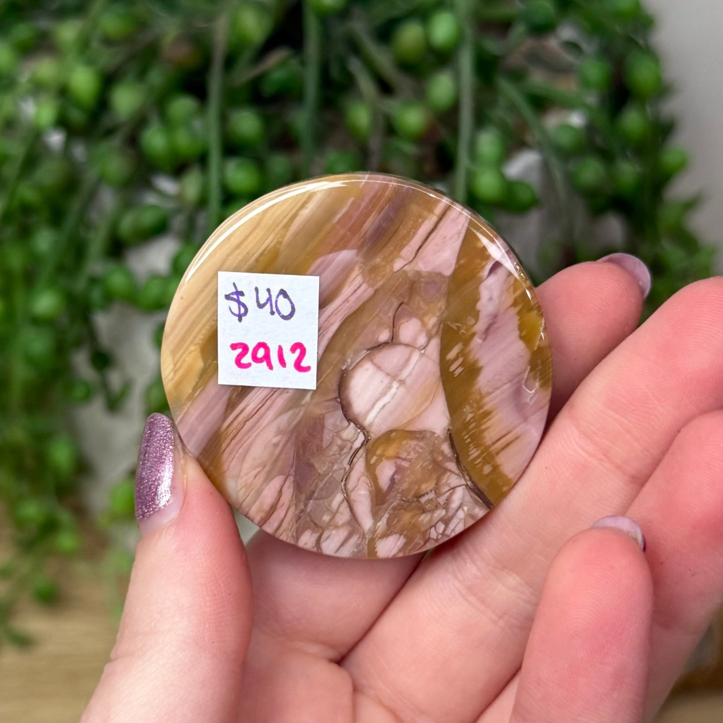 Alashan Carved Disc (Z912)