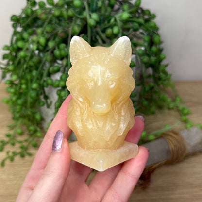 Yellow Calcite Wolf Head (Z729)
