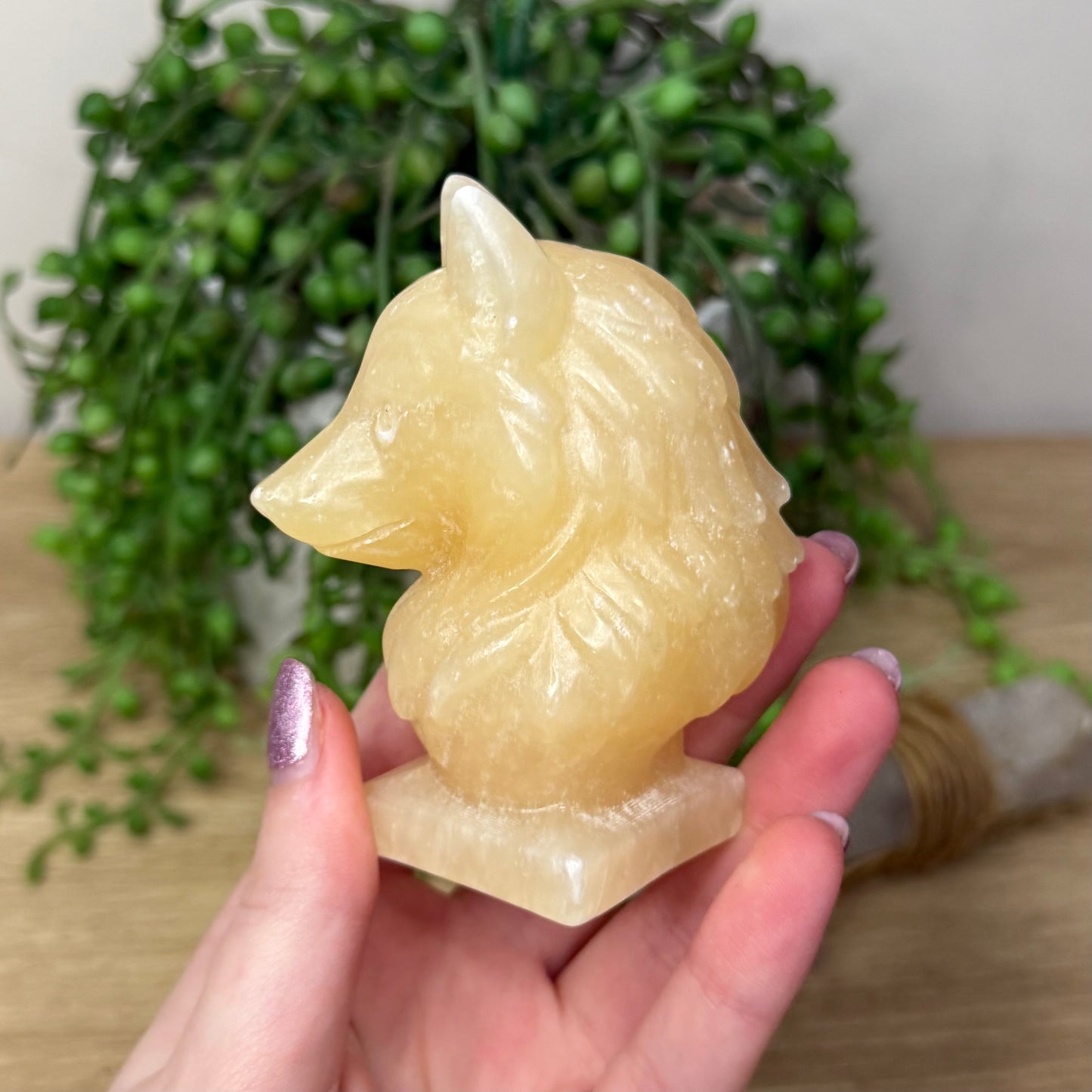 Yellow Calcite Wolf Head (Z729)