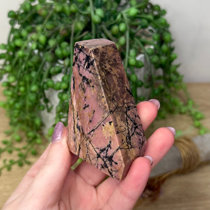 Rhodonite Free Form (Z860)