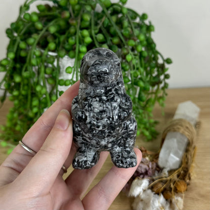Shell Jasper Chubby Dinosaur (P294)