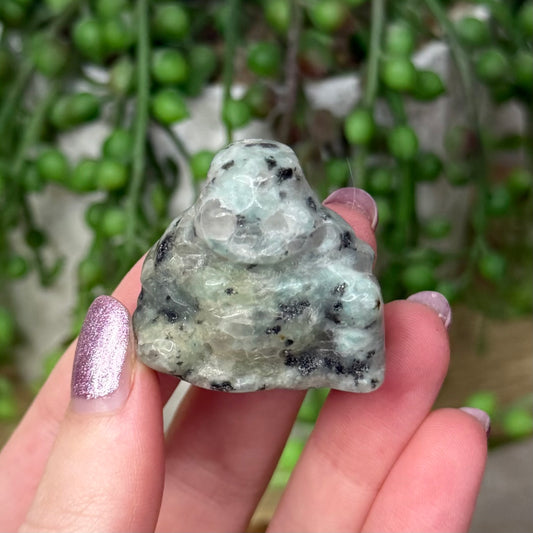 Kiwi Jasper Buddha (Z703)