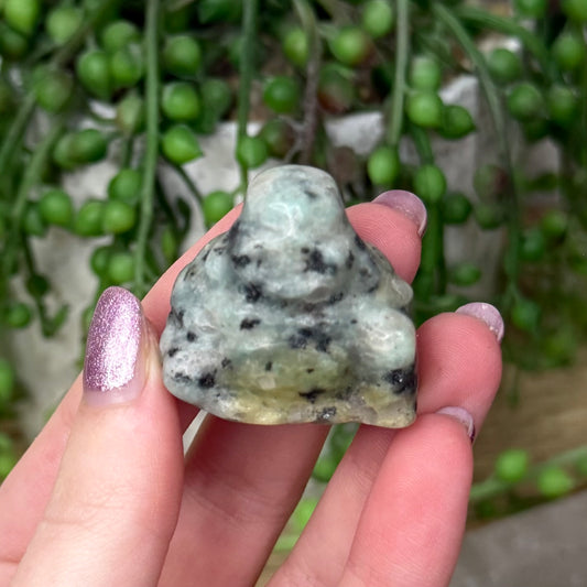 Kiwi Jasper Buddha (Z704)