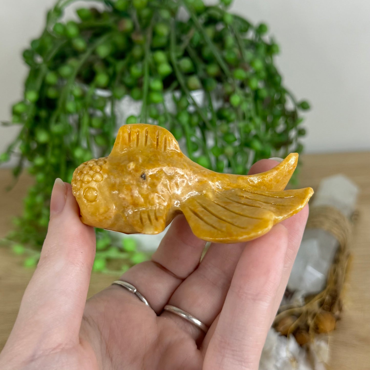Yellow Mud Stone Fish (P283)