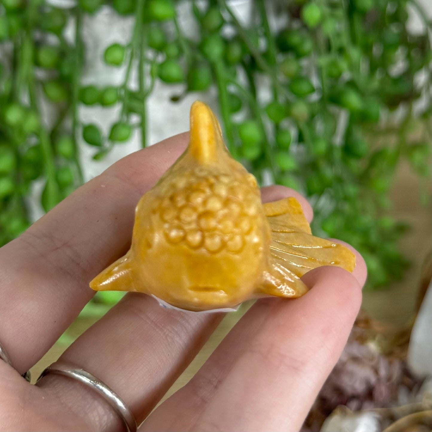 Yellow Mud Stone Fish (P283)