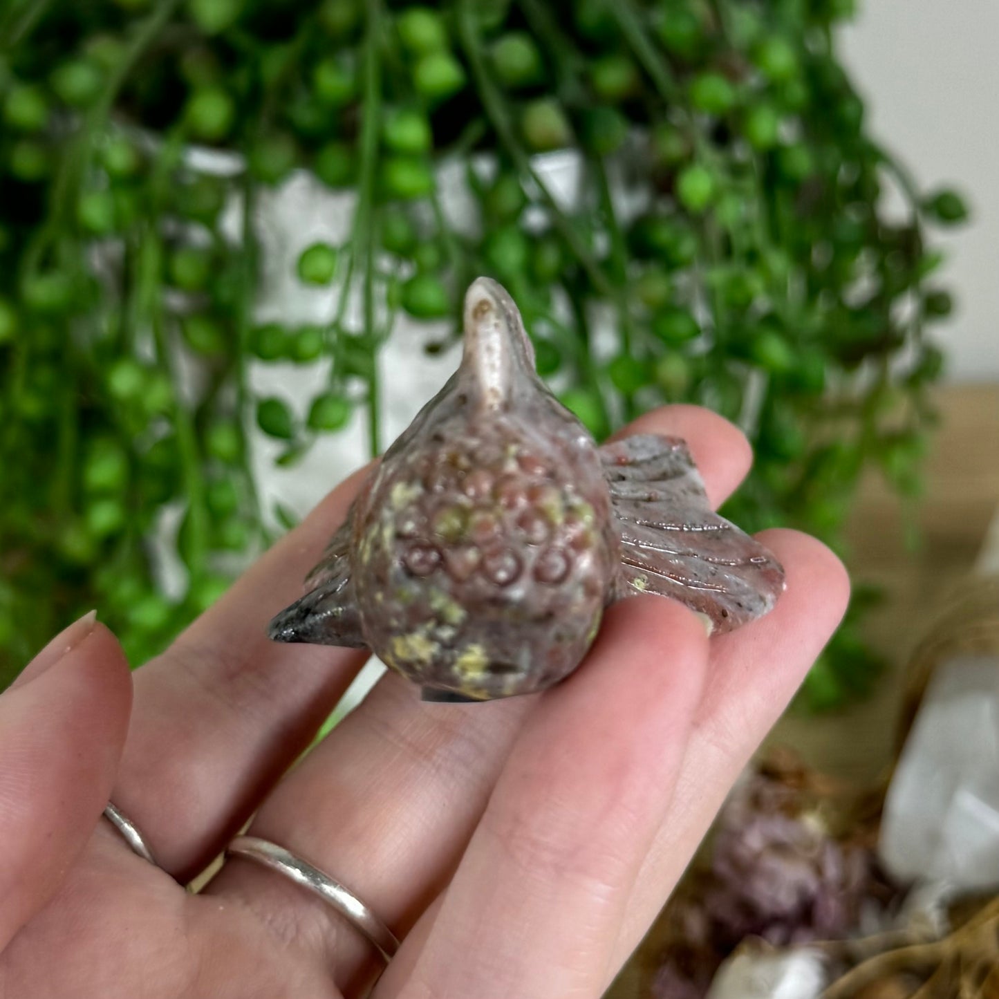 Plum Blossom Jasper Fish (P281)