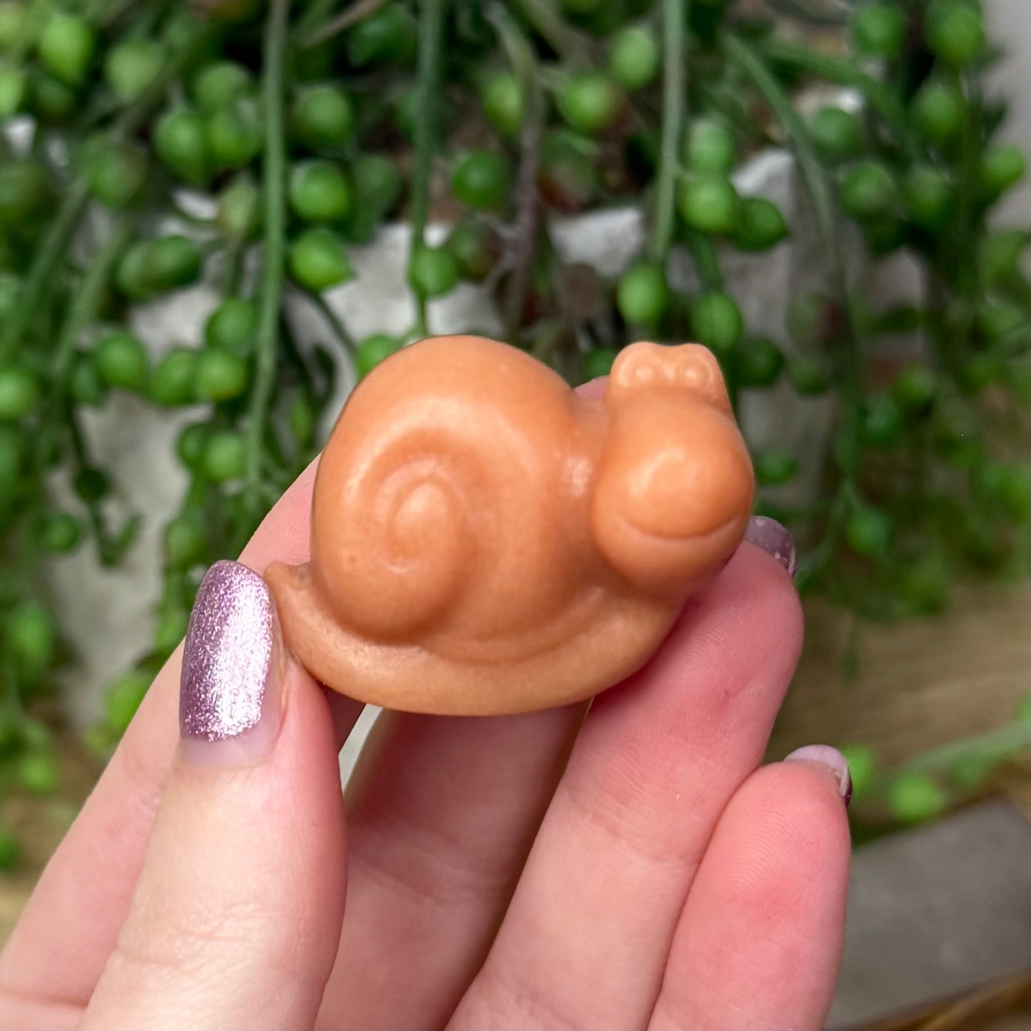 Sunstone Snail (119A)