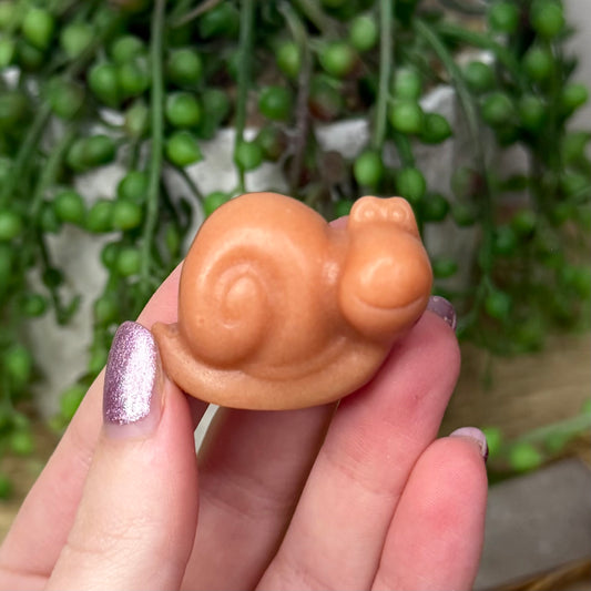 Sunstone Snail (119A)