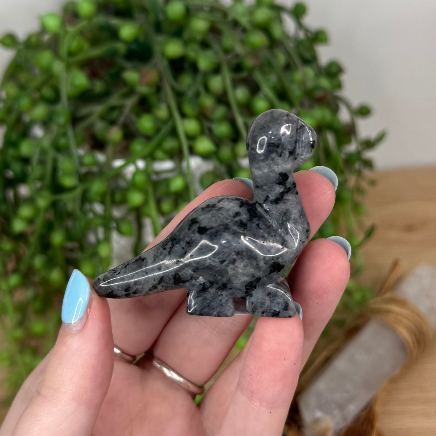 Larvikite Dinosaur (U738) (U737)