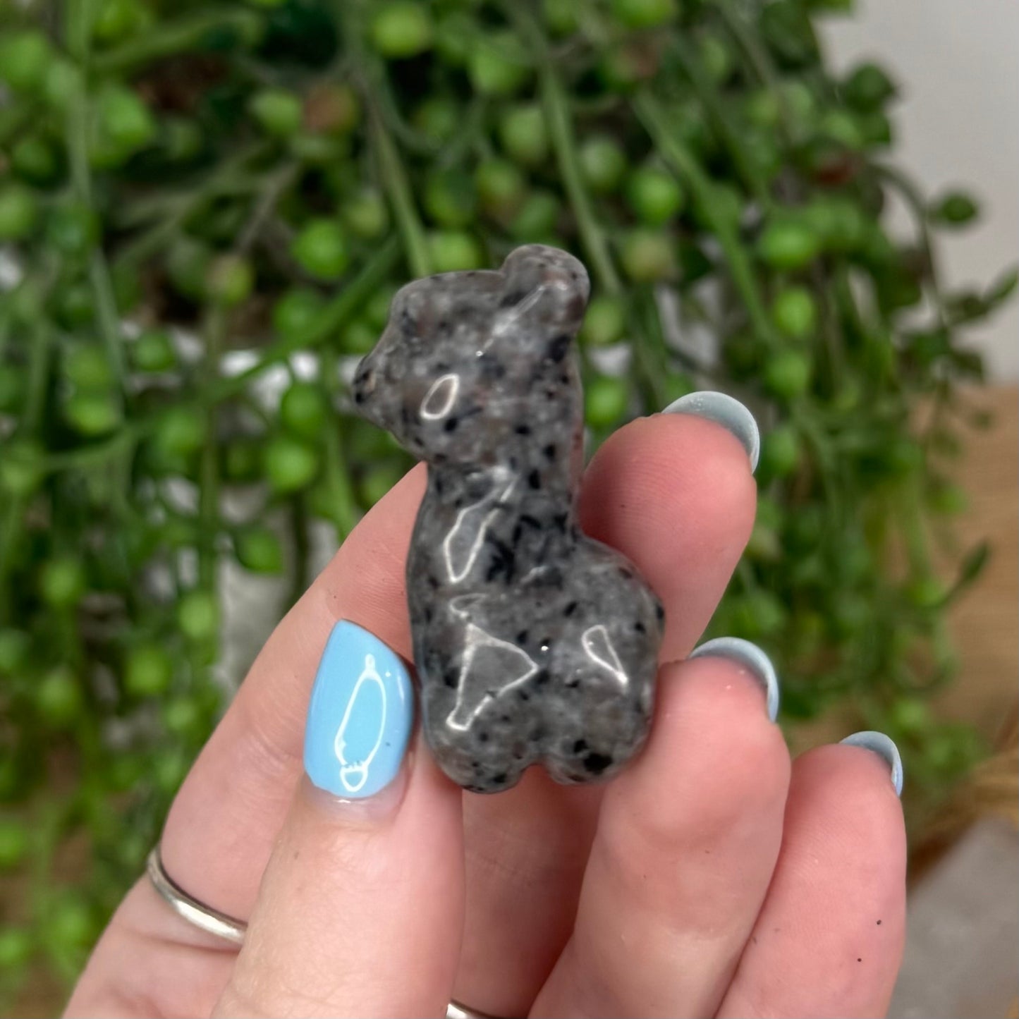 Yooperlite Llama (U740)
