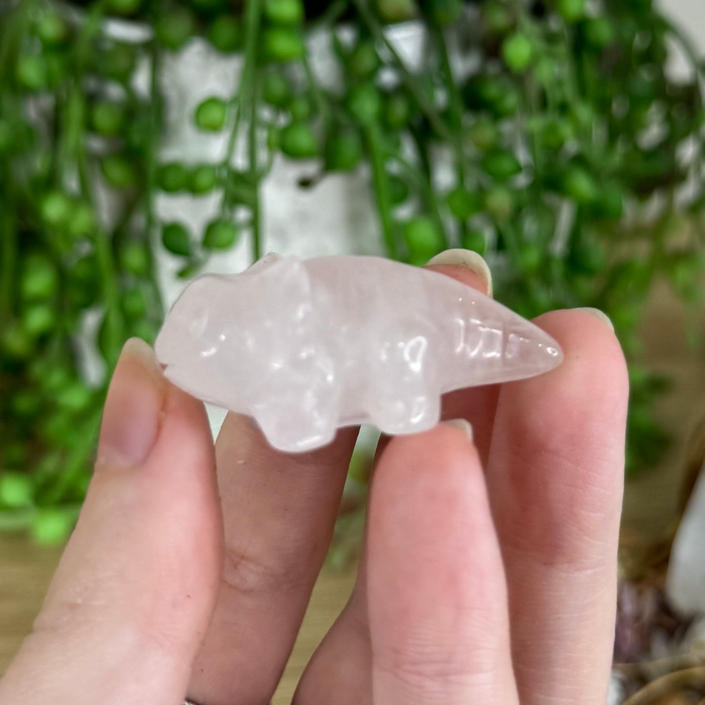 Rose Quartz Axolotl (P286) (P289)