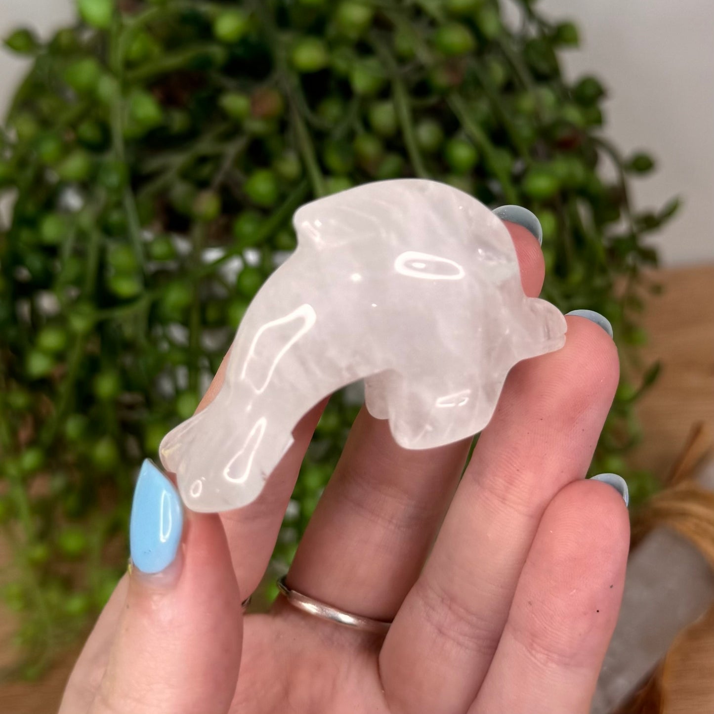 Clear Quartz Dolphin (U688)