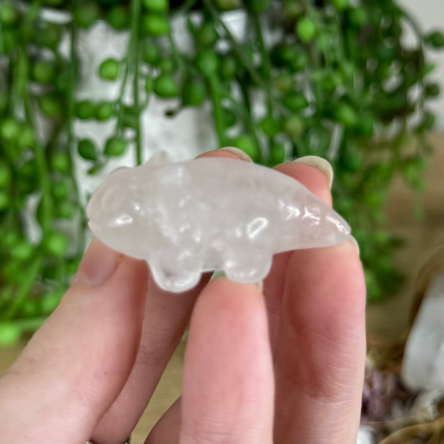 Clear Quartz Axolotl (P291) (P290)