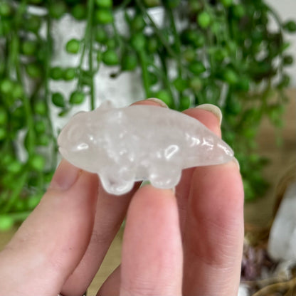 Clear Quartz Axolotl (P291) (P290)