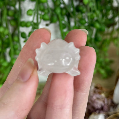 Clear Quartz Axolotl (P291) (P290)