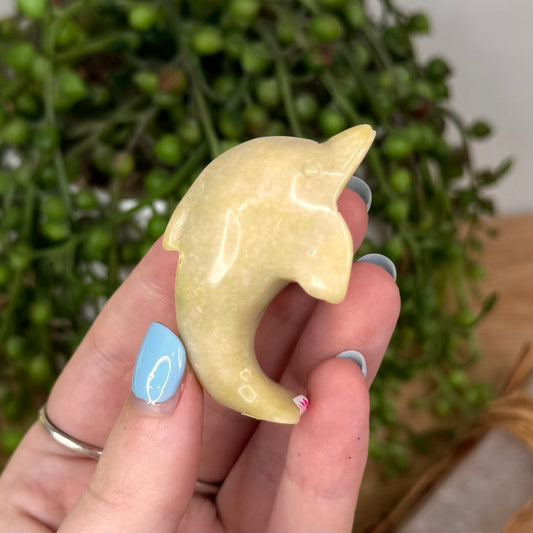Yellow Jade Dolphin (U687)