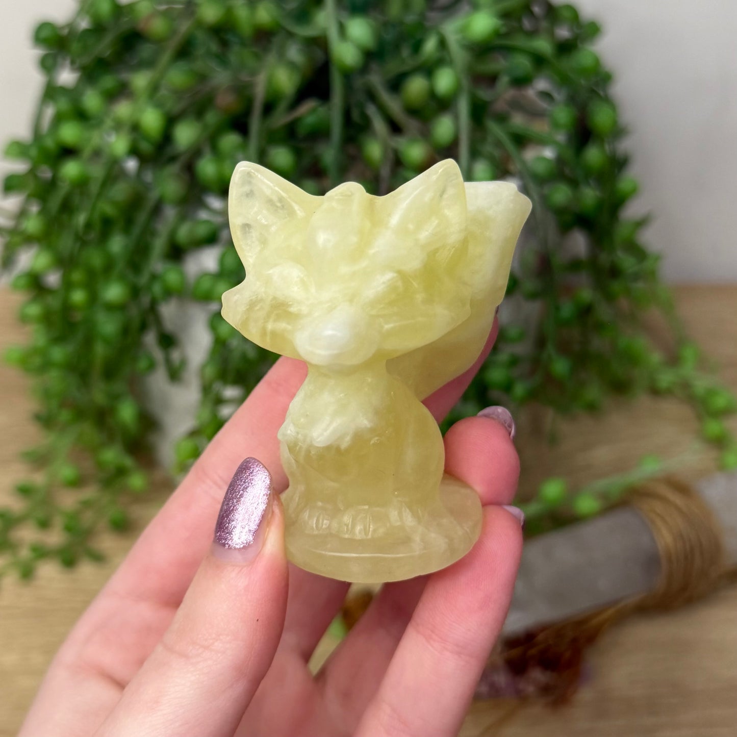 Citrine Fox (Z973)