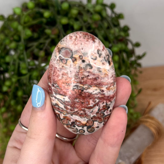 Leopard Skin Jasper Palm Stone (U769)