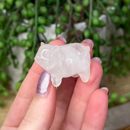 Clear Quartz Pig (Z888)