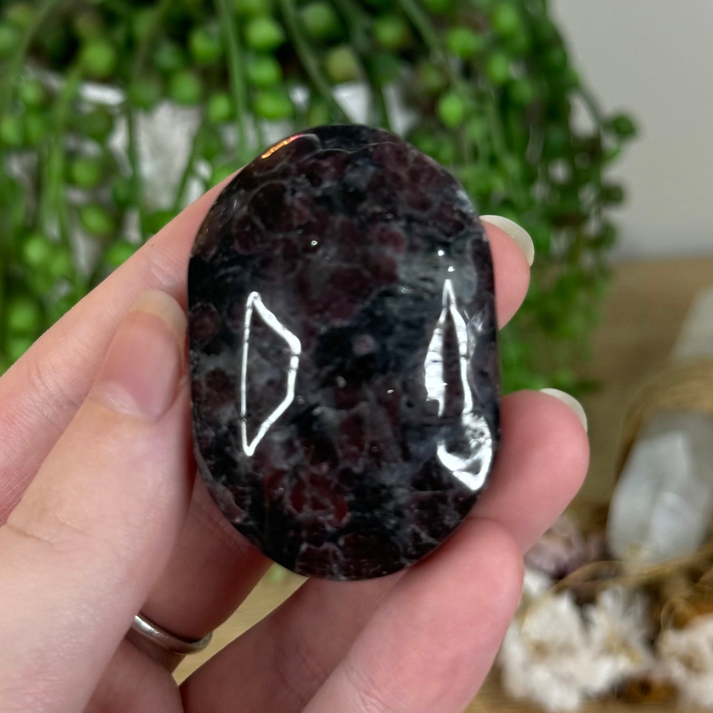 Garnet Palm Stone (P770)