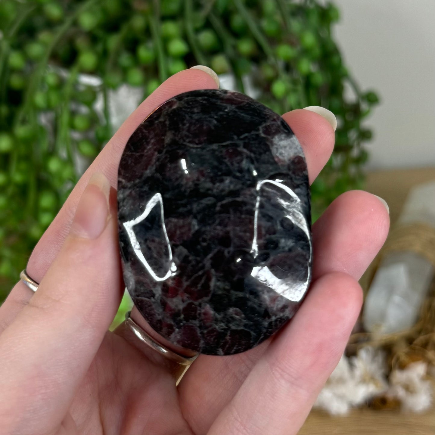 Garnet Palm Stone (P773)