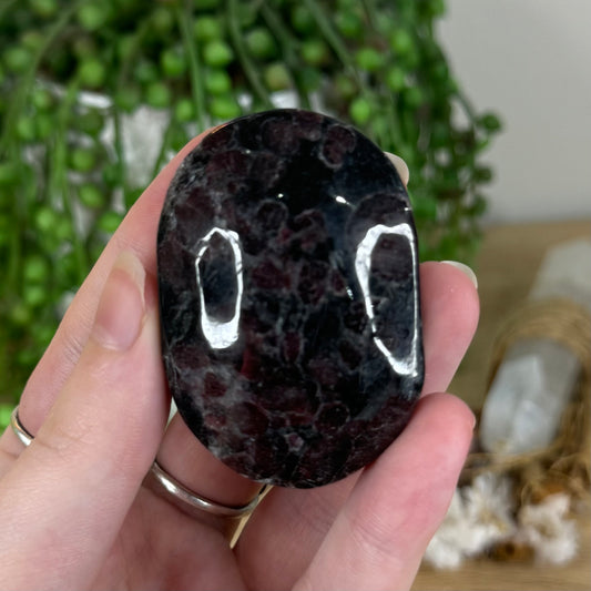 Garnet Palm Stone (P772)