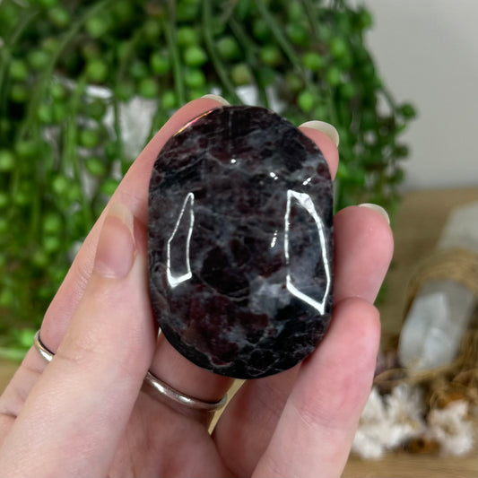 Garnet Palm Stone (P771)