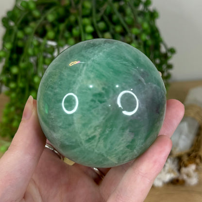 Green Fluorite Sphere (P785)