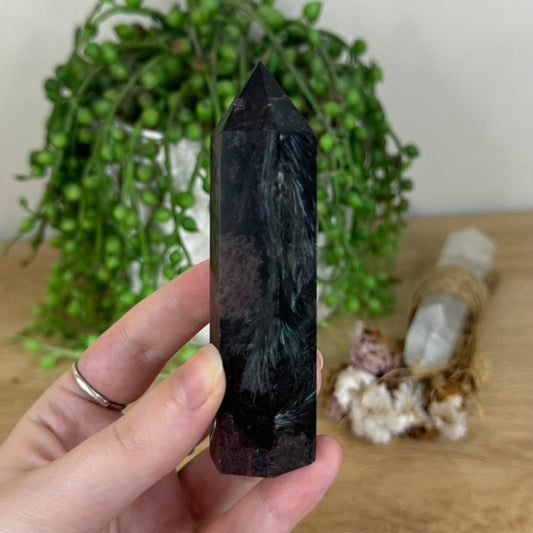 Garnet Point (P755)