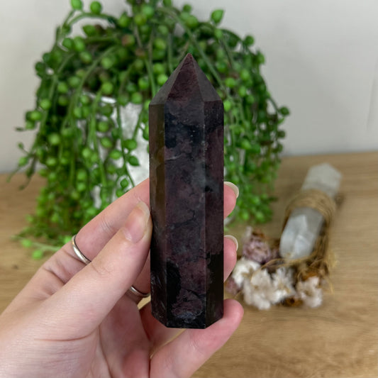 Garnet Point (P756)