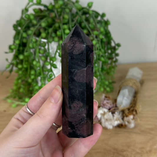 Garnet Point (P753)