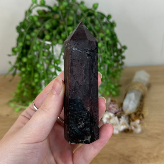 Garnet Point (P752)