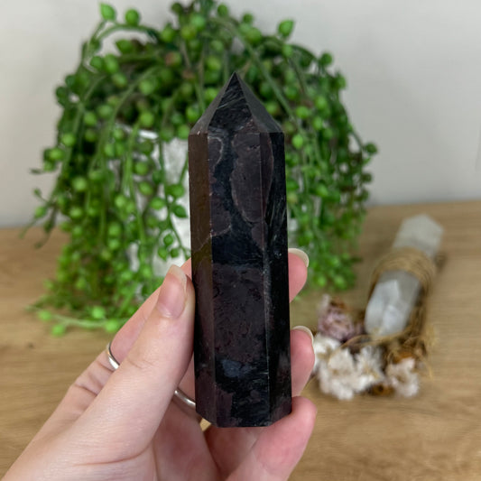 Garnet Point (P754)