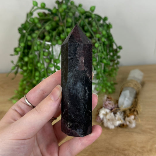 Garnet Point (P751)
