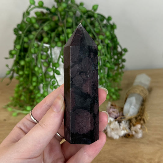 Garnet Point (P749)