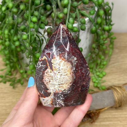 Mexican Crazy Lace Agate Arch Free Form (287A)