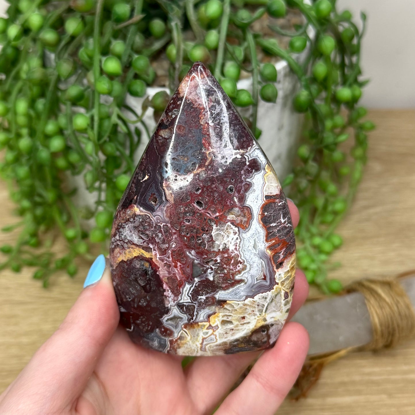 Mexican Crazy Lace Agate Arch Free Form (287A)