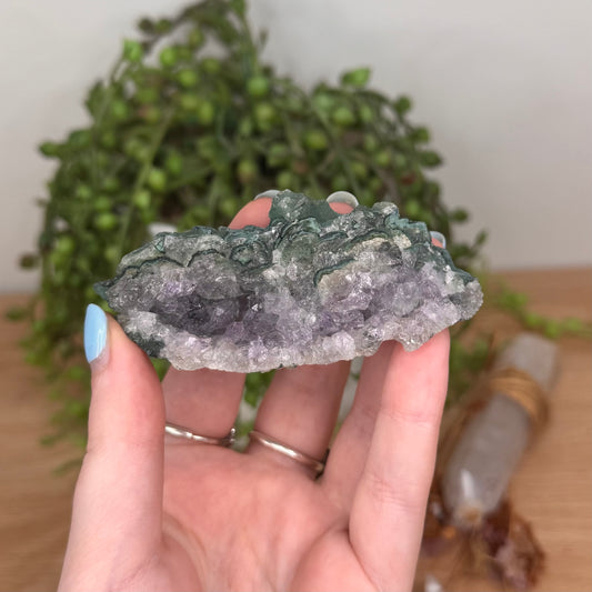 Amethyst Cluster (U791)