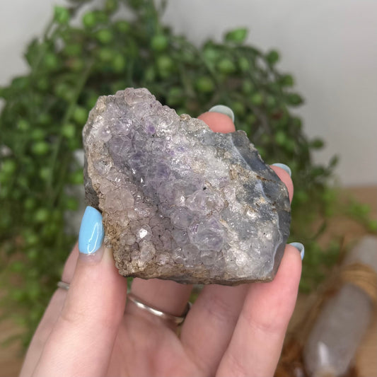 Amethyst Cluster (U794)