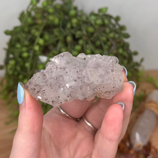 Amethyst Cluster (U788)