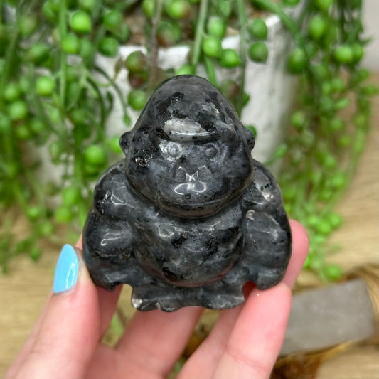 Larvikite Gorilla (288A)