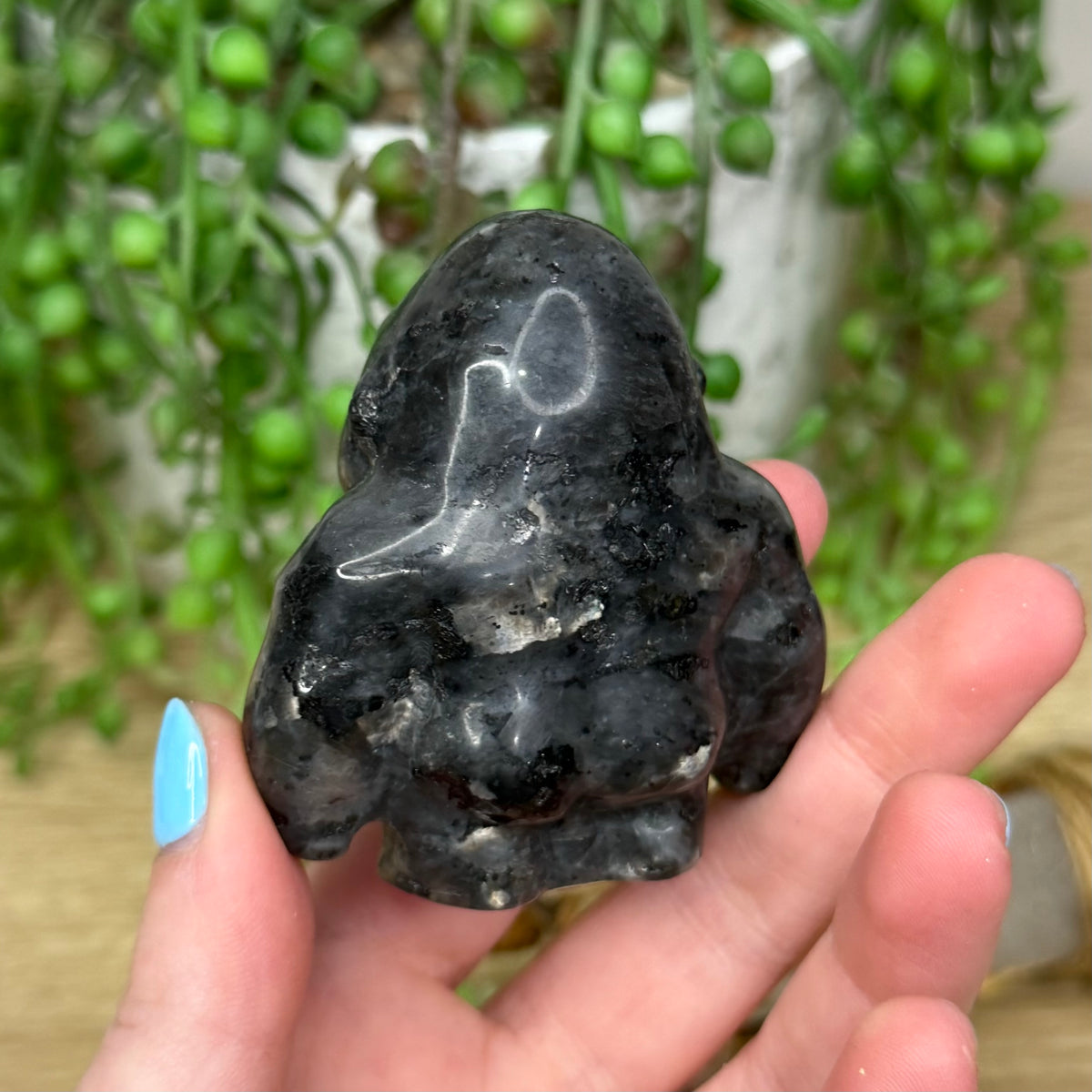 Larvikite Gorilla (288A)