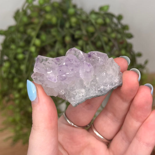 Amethyst Cluster (U786)