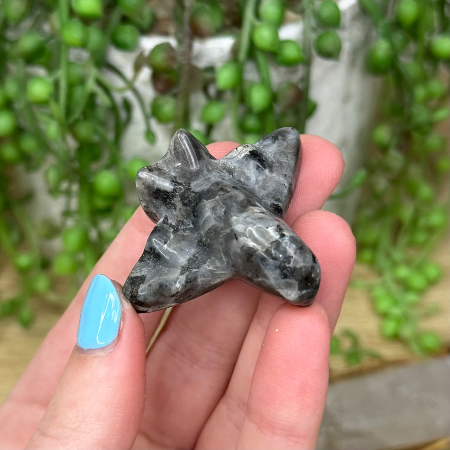 Larvikite Plane (Y552)