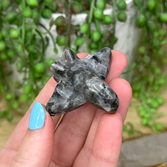 Larvikite Plane (Y552)