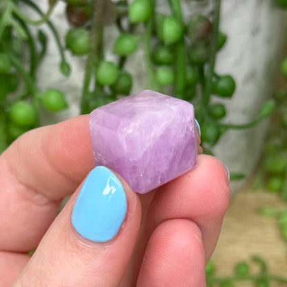 Kunzite Cube (315A)